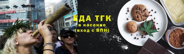 индика Алзамай