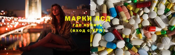 индика Алзамай