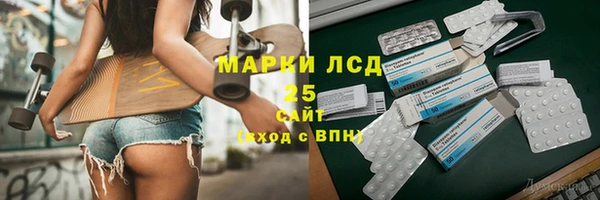 индика Алзамай