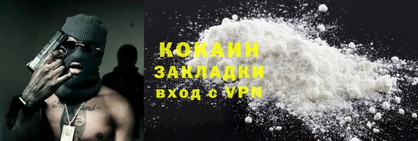 индика Алзамай