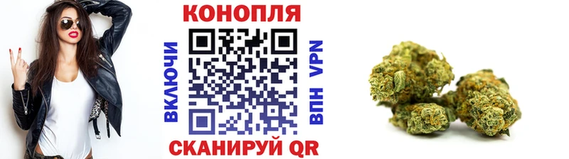 где найти наркотики  Спас-Деменск  Каннабис сатива 